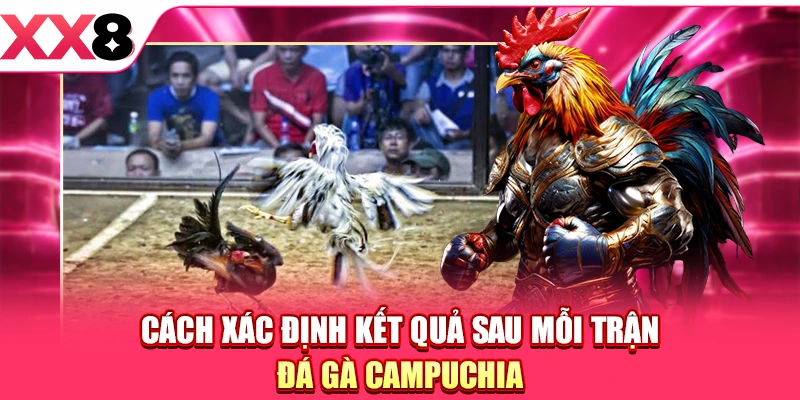 Cách xác định kết quả sau mỗi trận đá gà Campuchia