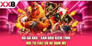 Đá Gà XX8 - Sàn Đấu Kịch Tính, Hội Tụ Các Sư Kê Đam Mê