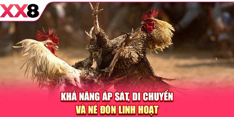 Khả năng áp sát, di chuyển và né đòn linh hoạt