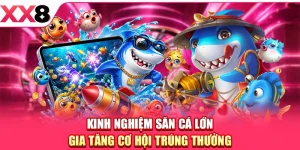 Kinh Nghiệm Săn Cá Lớn Gia Tăng Cơ Hội Trúng Thưởng