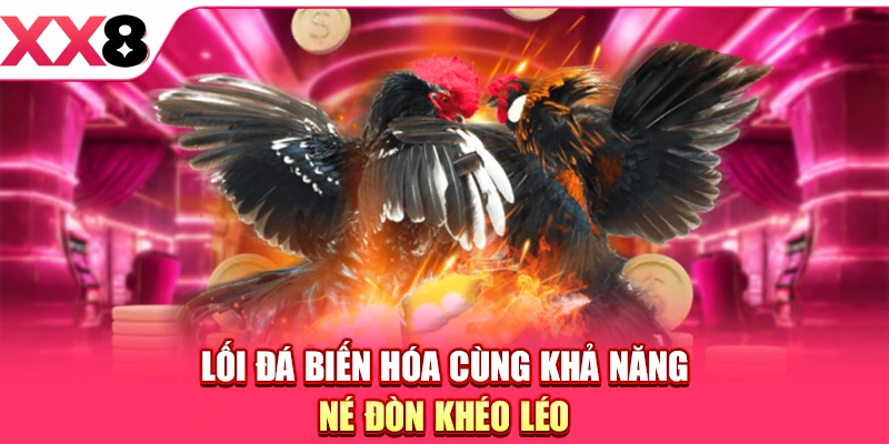 Lối đá biến hóa cùng khả năng né đòn khéo léo