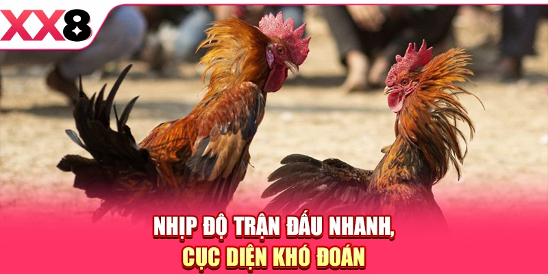 Nhịp độ trận đấu nhanh, cục diện khó đoán