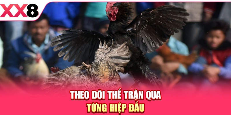 Theo dõi thế trận qua từng hiệp đấu