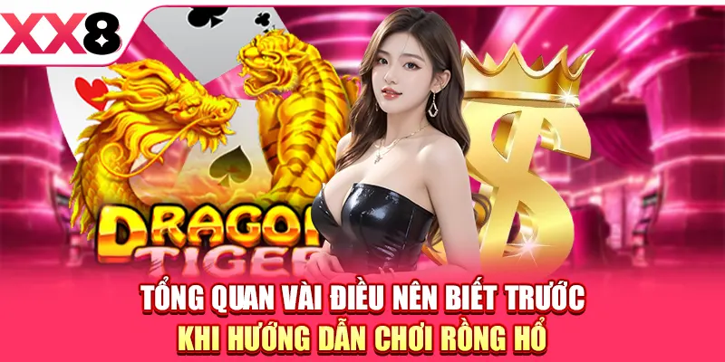 Tổng quan vài điều nên biết trước khi hướng dẫn chơi Rồng Hổ