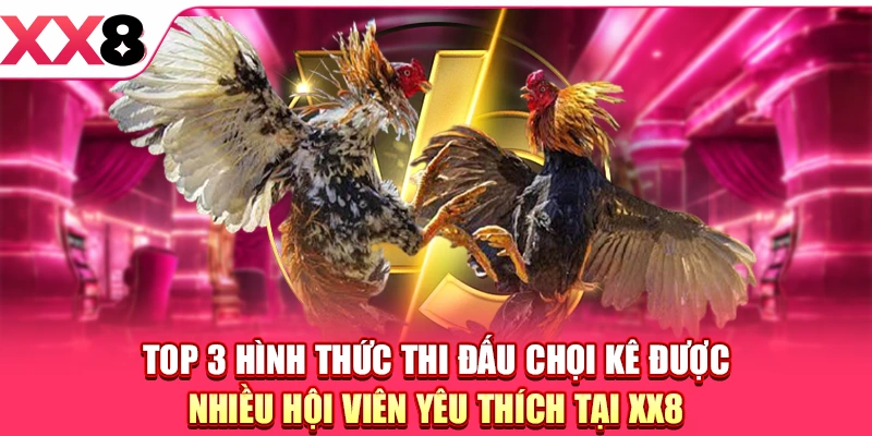 Top 3 hình thức thi đấu chọi kê được nhiều hội viên yêu thích tại XX8
